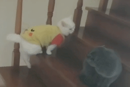 新葡京